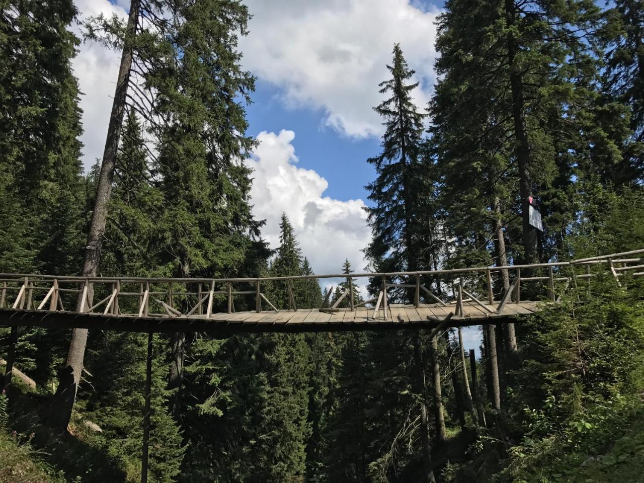 Freerider Otel Drahobrat Dış mekan fotoğraf