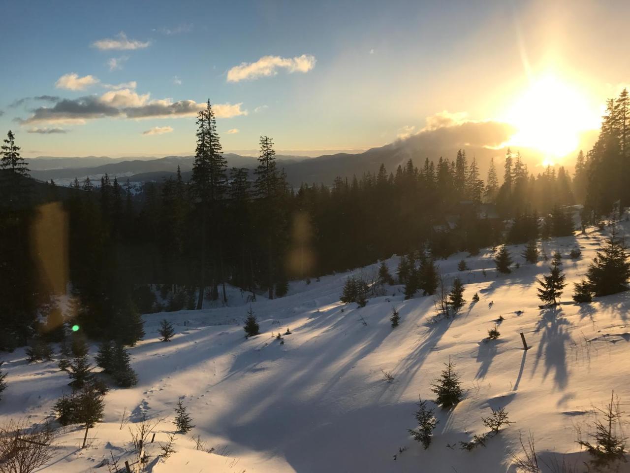 Freerider Otel Drahobrat Dış mekan fotoğraf